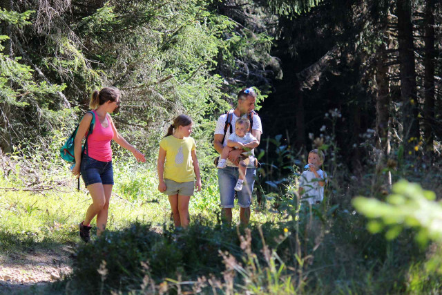 Lustiger Weg im Wald