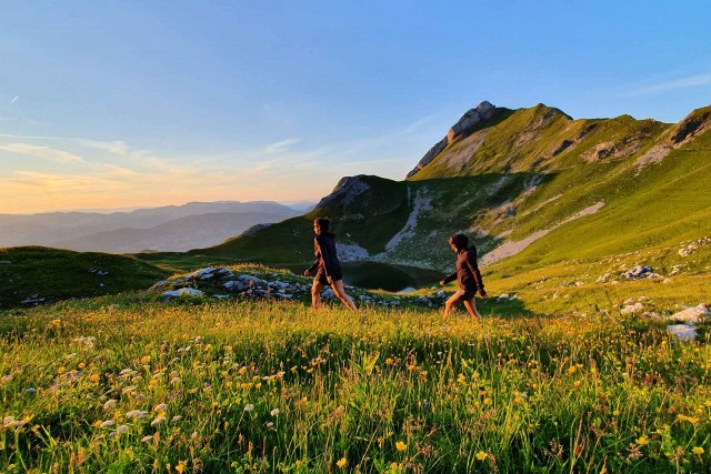 Hiking In Summer