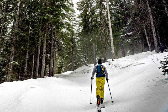 Ski De Randonnée