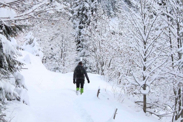 Für Ihre Schneeausflüge