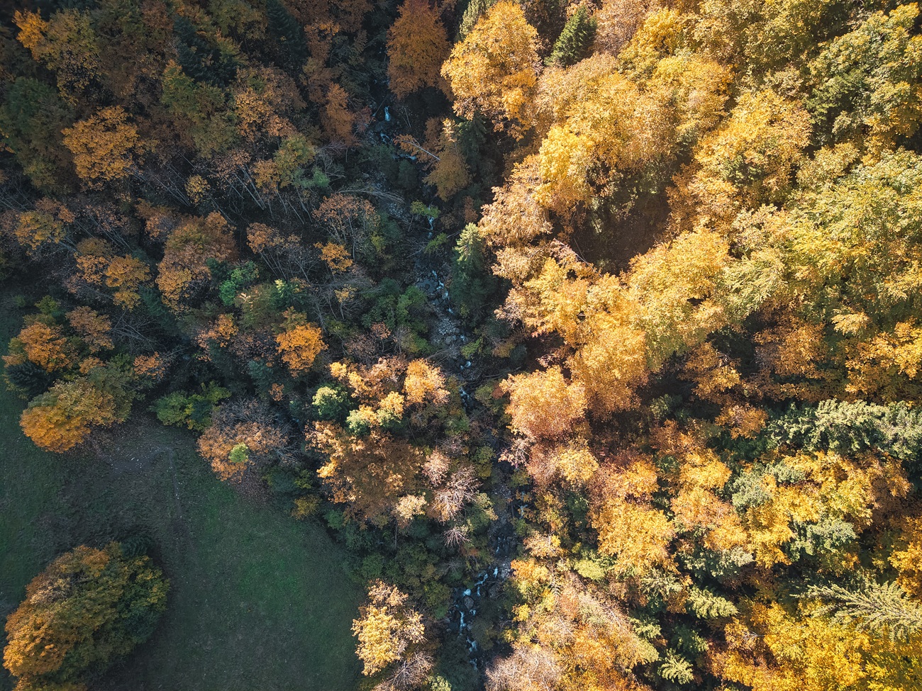 L'automne à Manigod - © OT Manigod