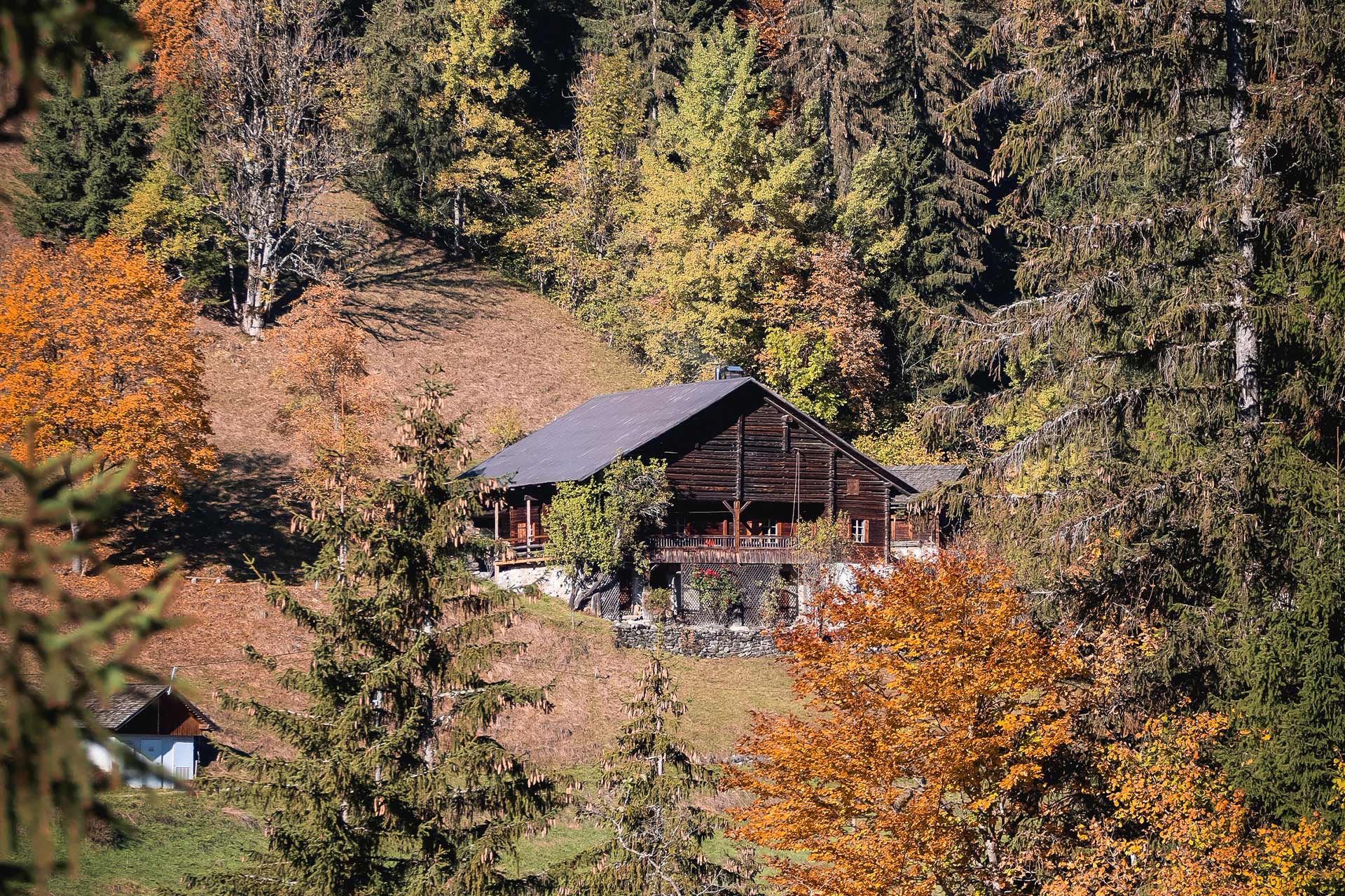 Herbst in Manigod