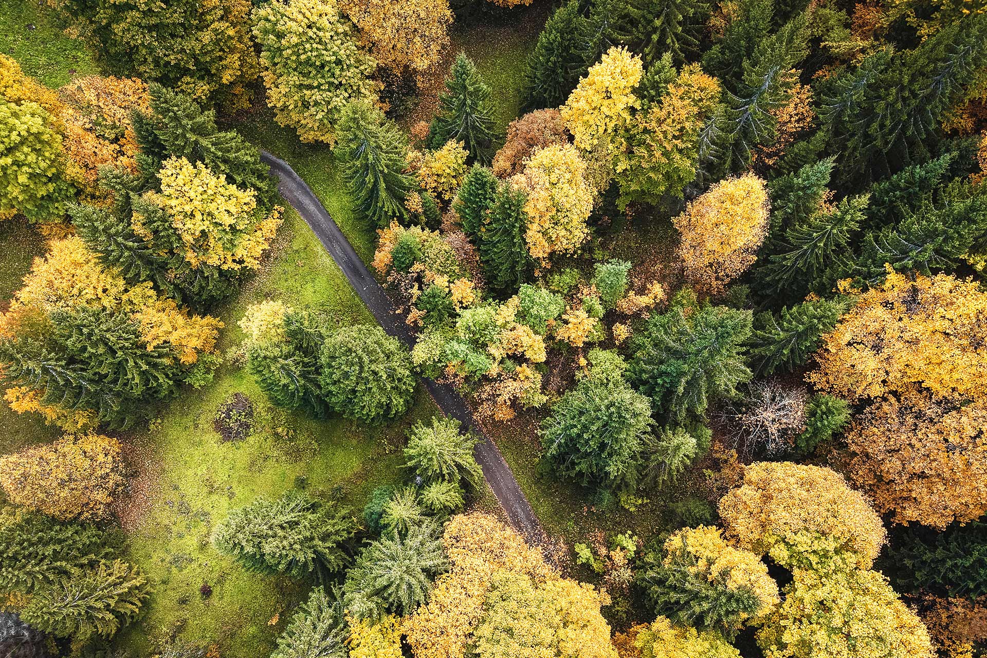 Herbst in Manigod