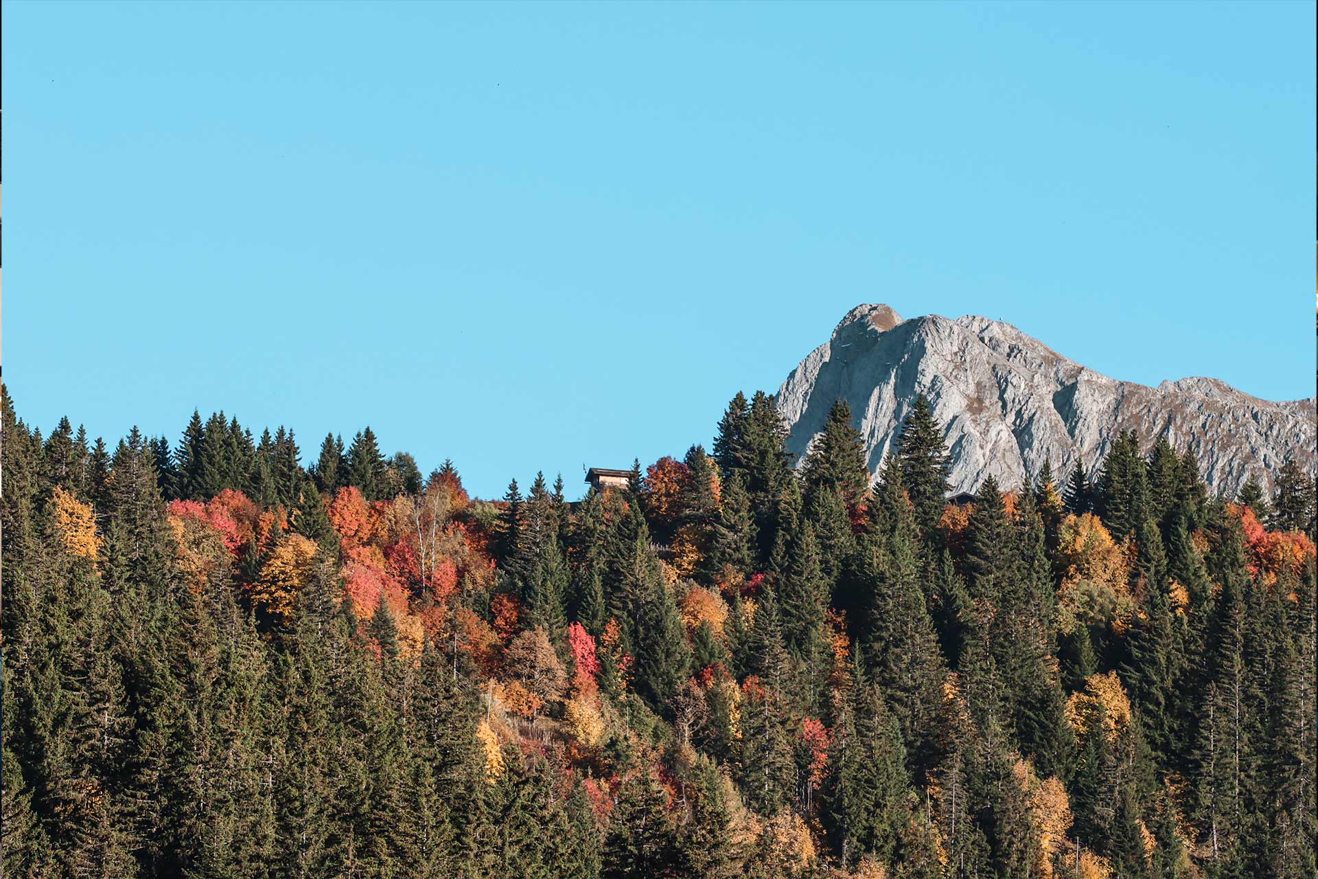 Herbst in Manigod - &copy; OT Manigod