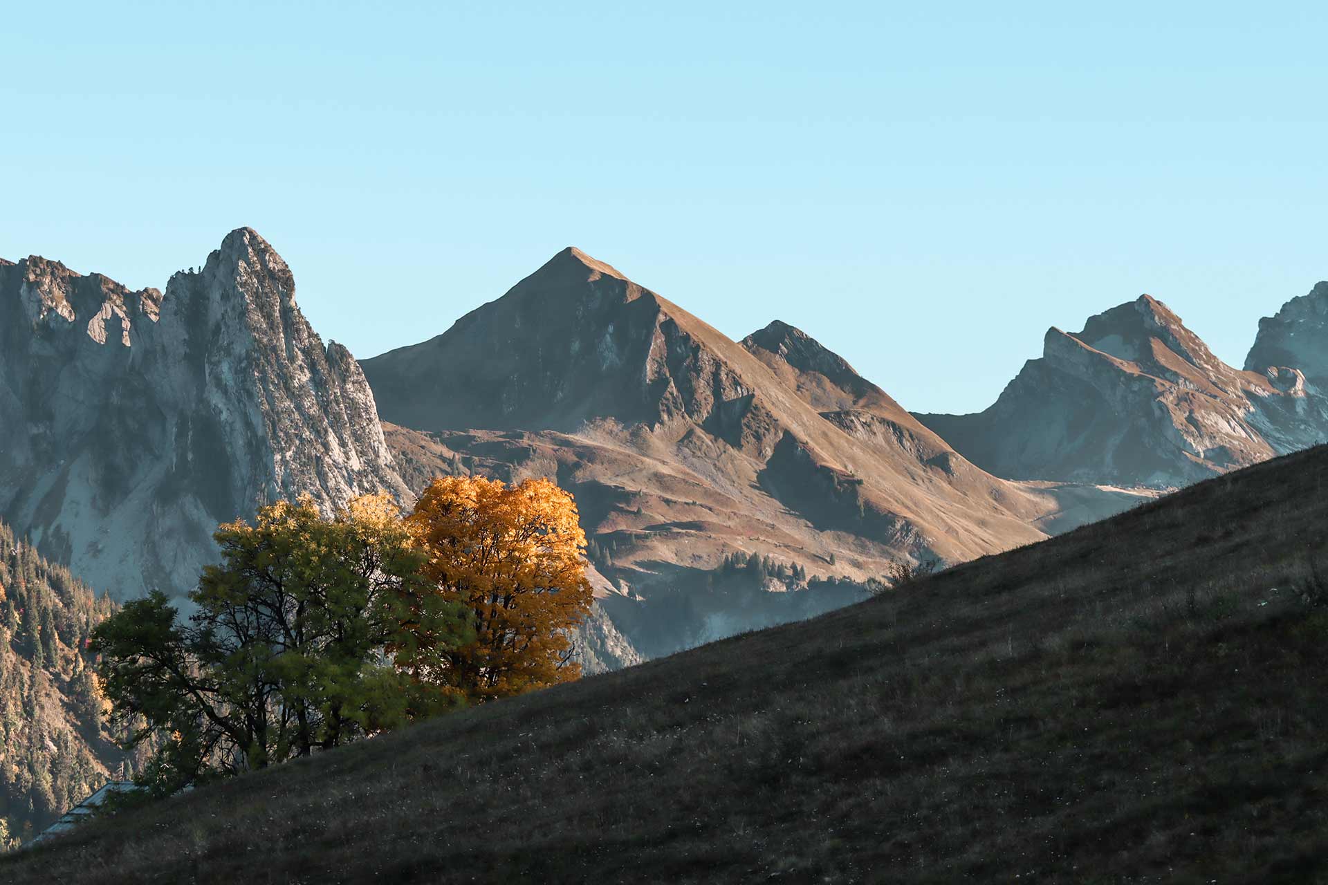 Herbst in Manigod - &copy; OT Manigod