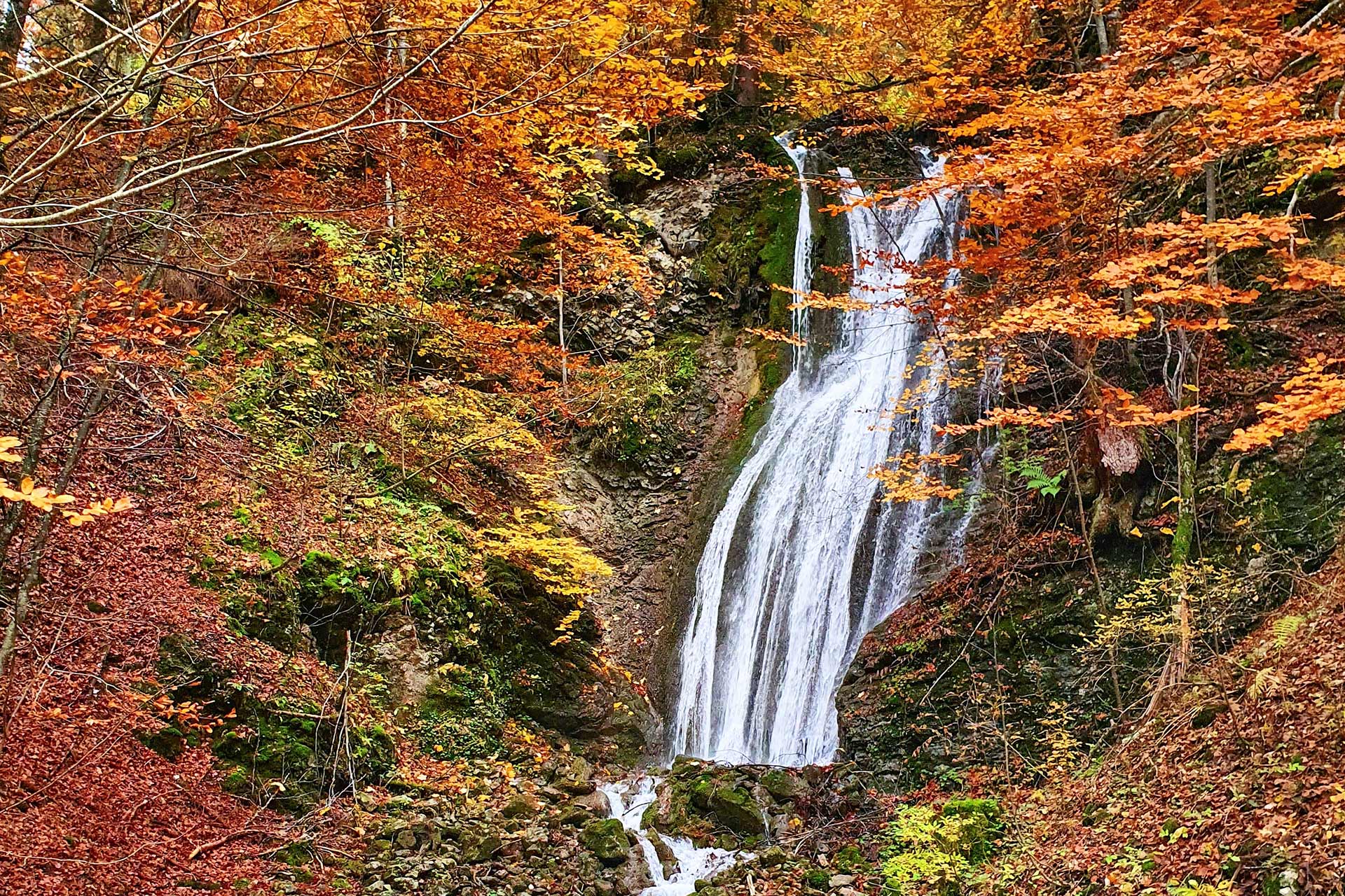 Herbst in Manigod - &copy; OT Manigod