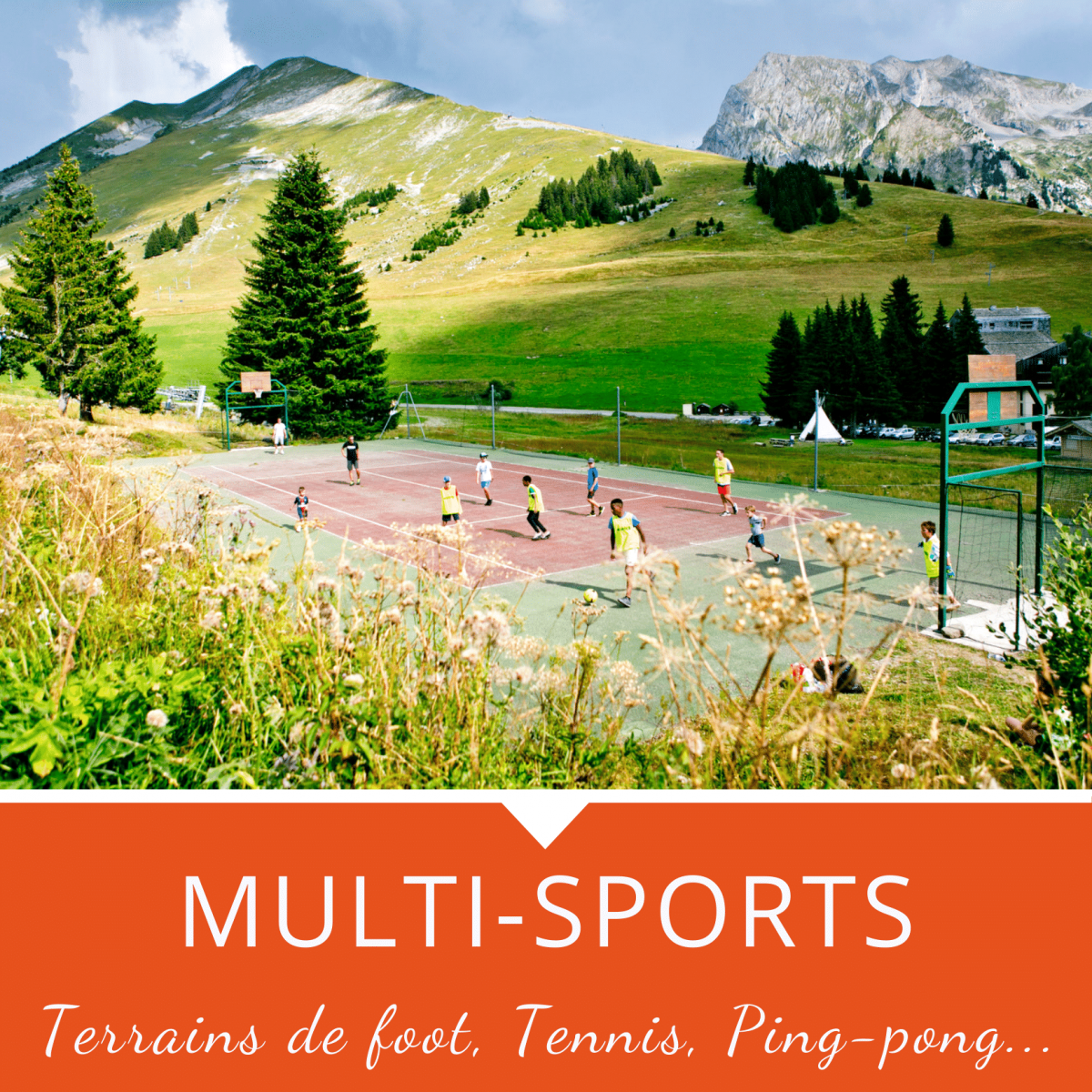 Multi-sports