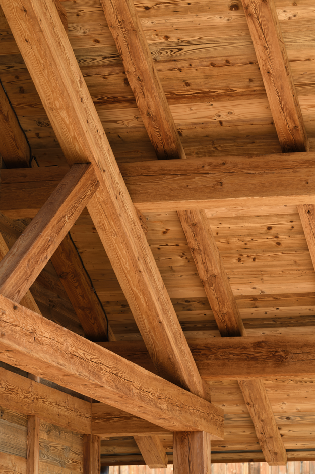 Atelier Canopée Architectes - © Atelier Canopée Architectes Atelier Canopée Architectes