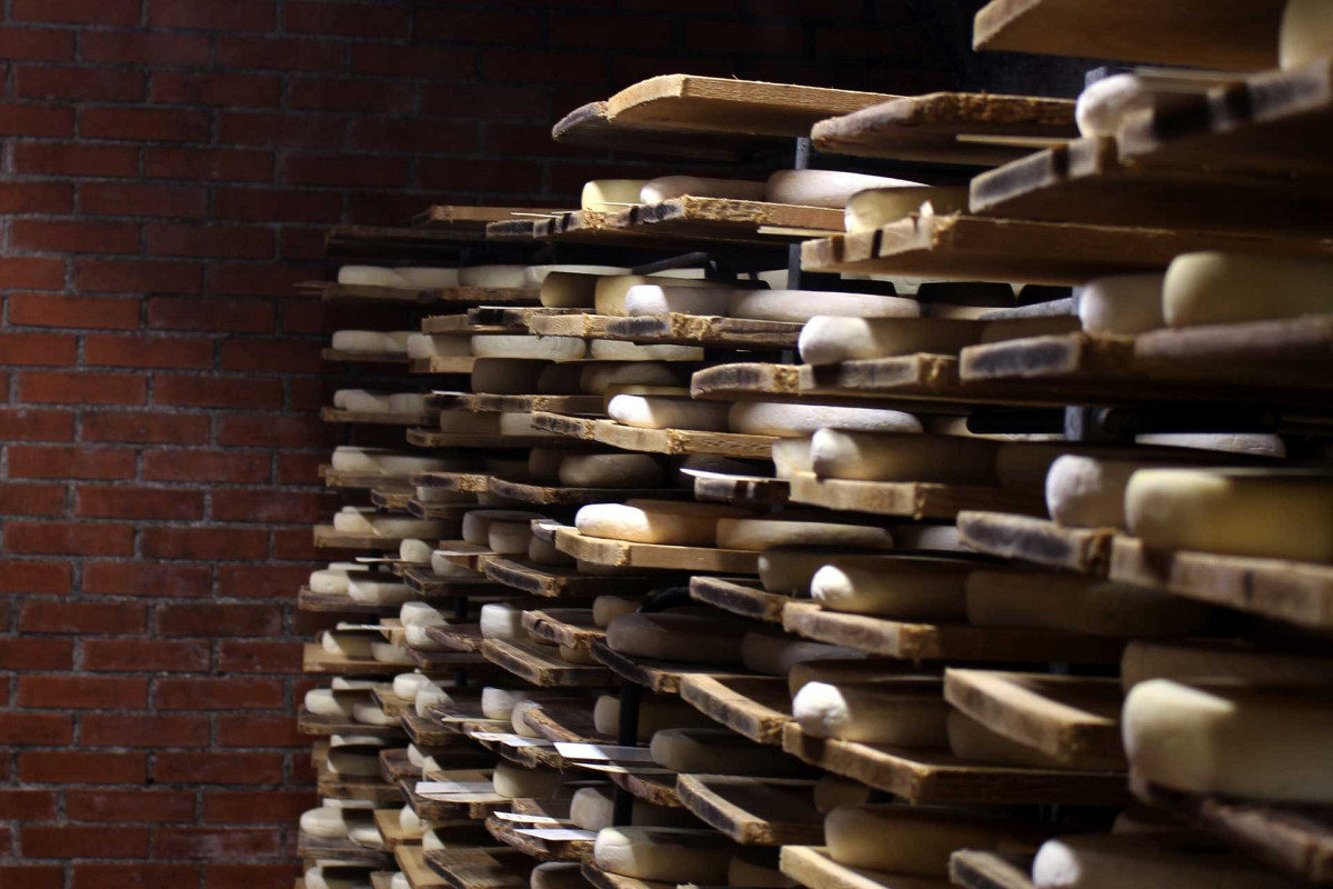 Caves d'affinage Paccard