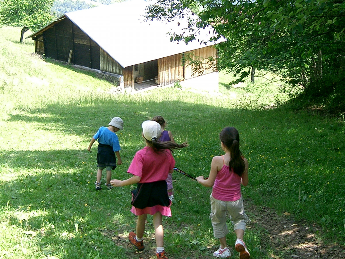 59161259_cimg1726.jpg 59161259_cimg1726.jpg