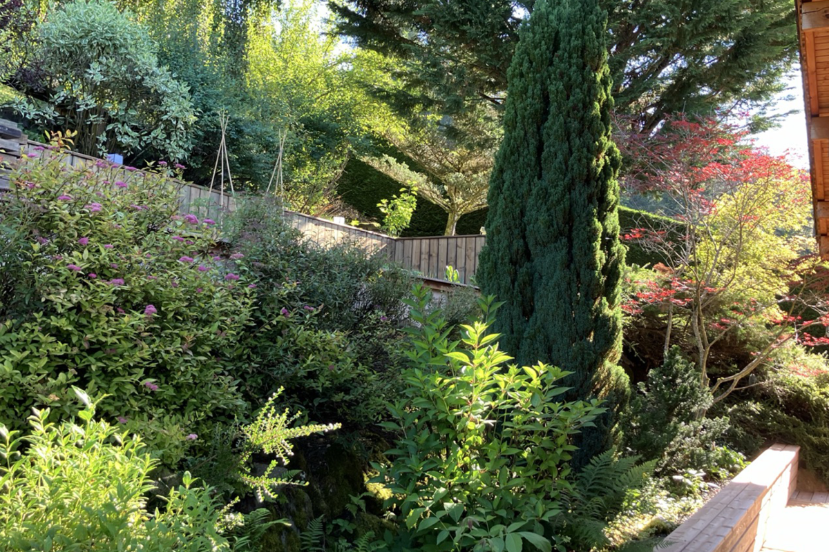 Jardin nord