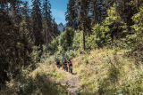 Piste verte descendante Aiglon_Manigod