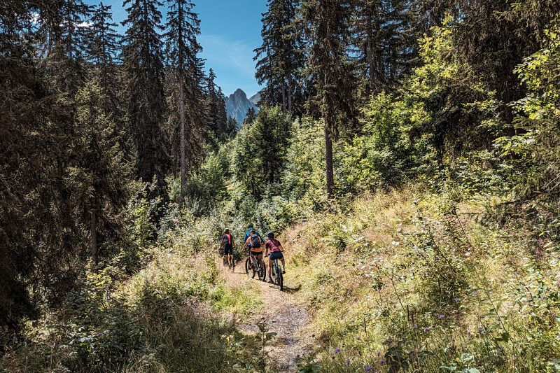 Piste verte descendante Aiglon_Manigod