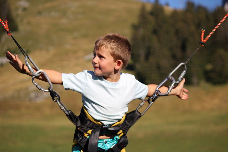 Bungy trampoline