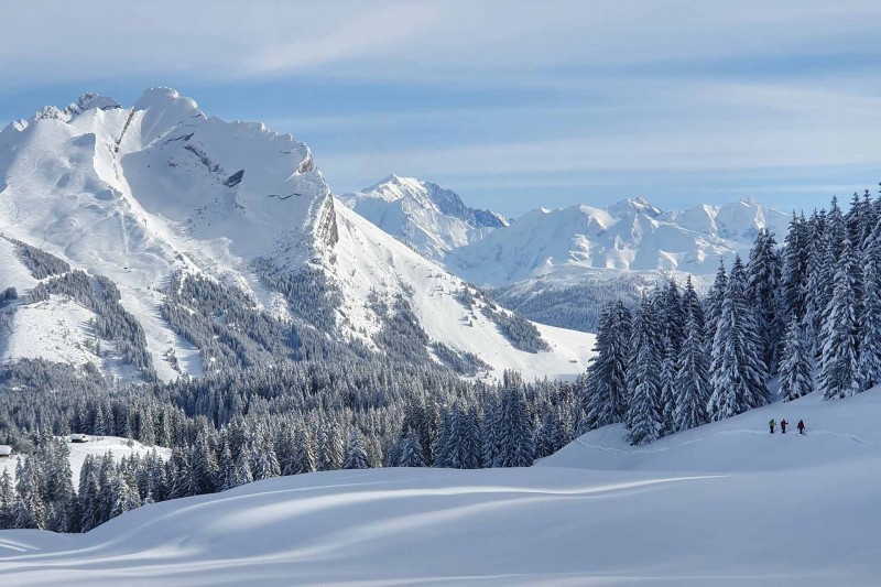 Snowshoeing