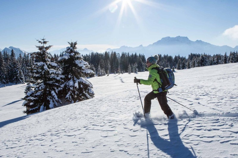 Snowshoeing