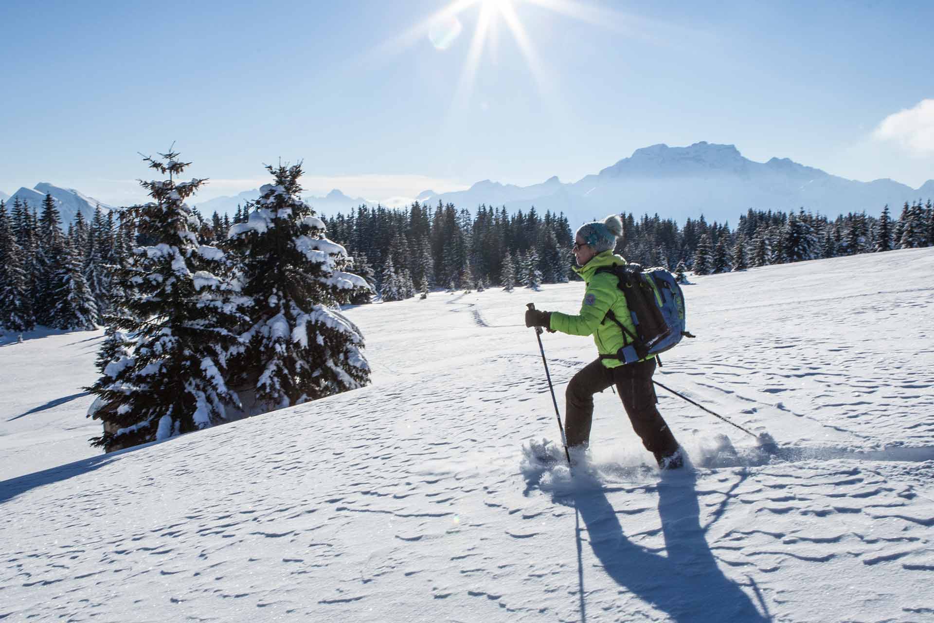 Snowshoeing - © Verpaelst