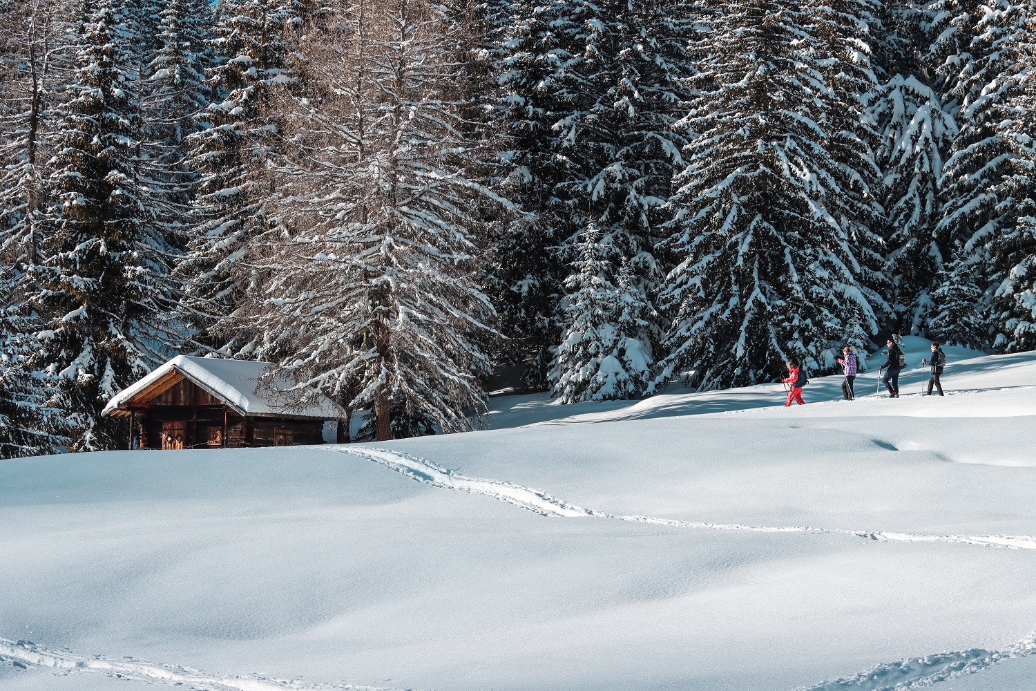 Raquettes à neige - © M. Sauvage