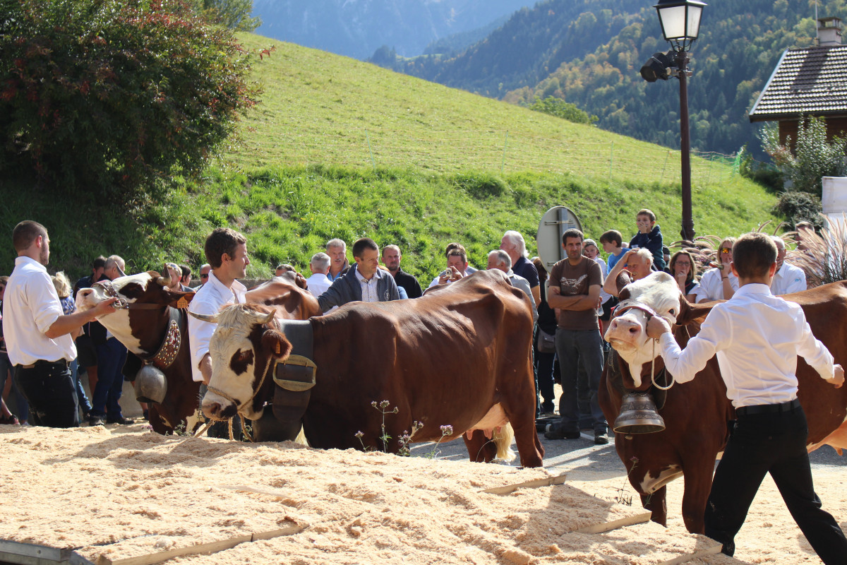 Foire agricole communale
