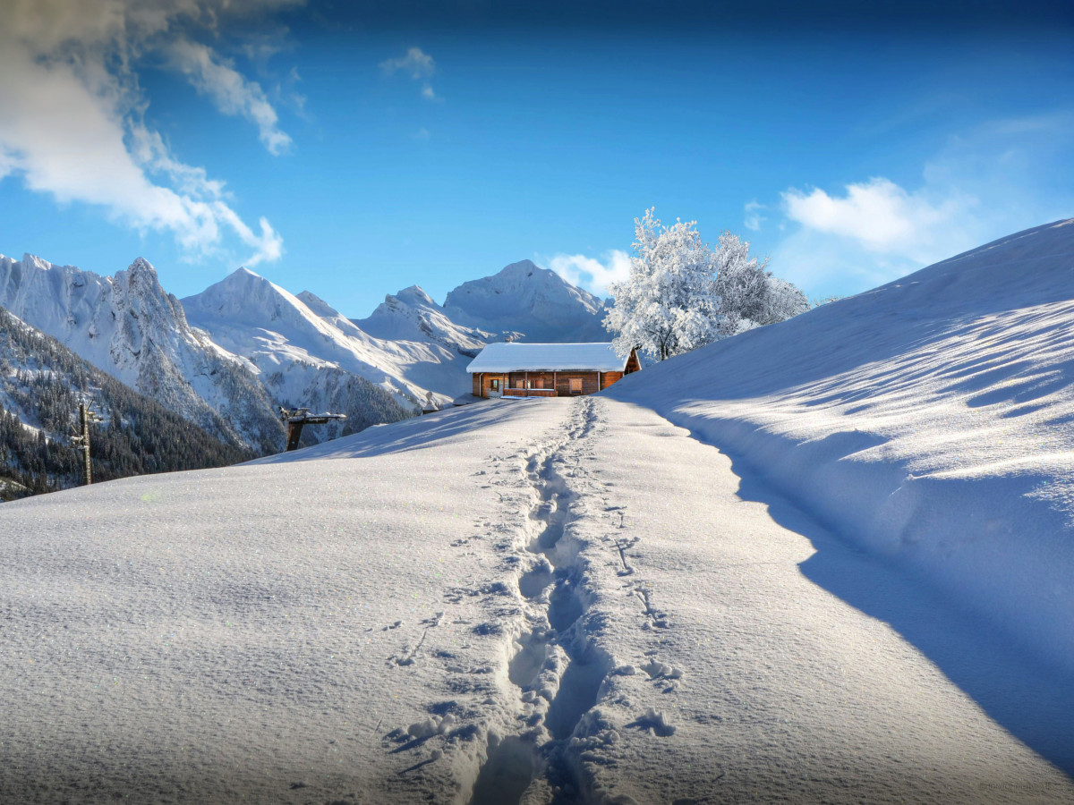 Chalet 