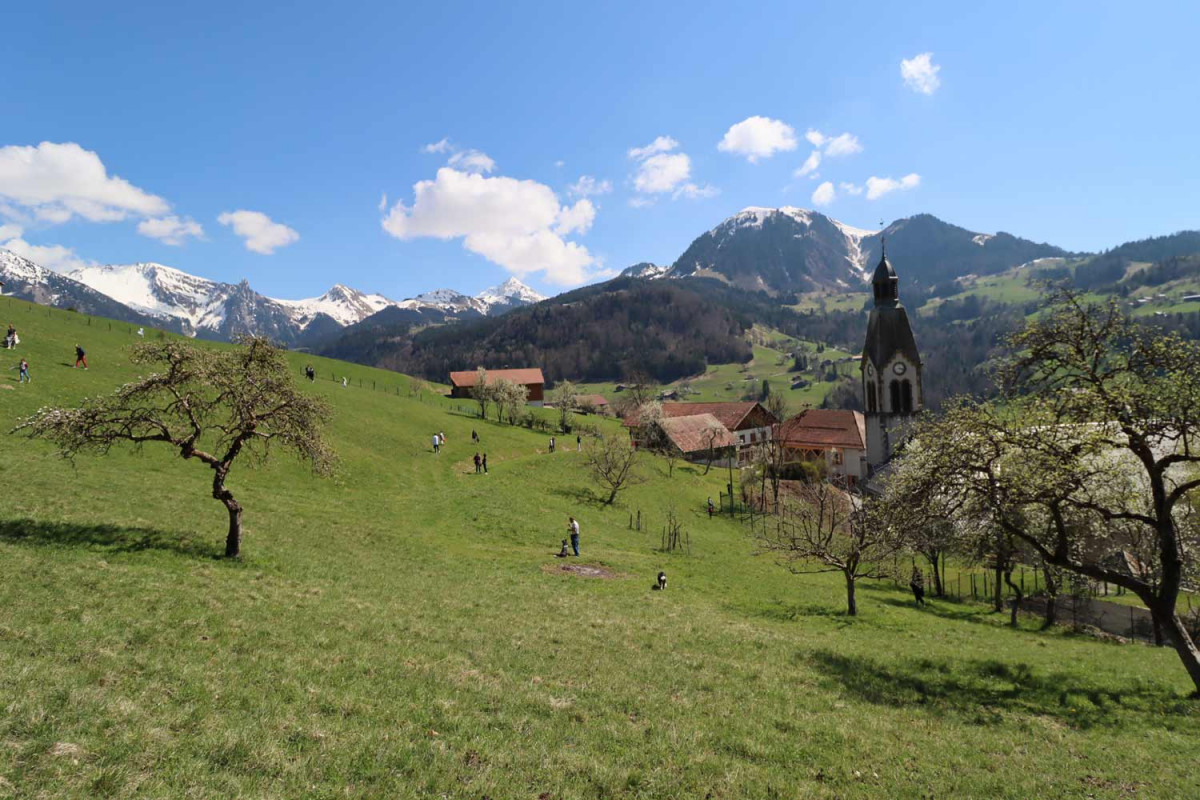 Chasse aux œufs