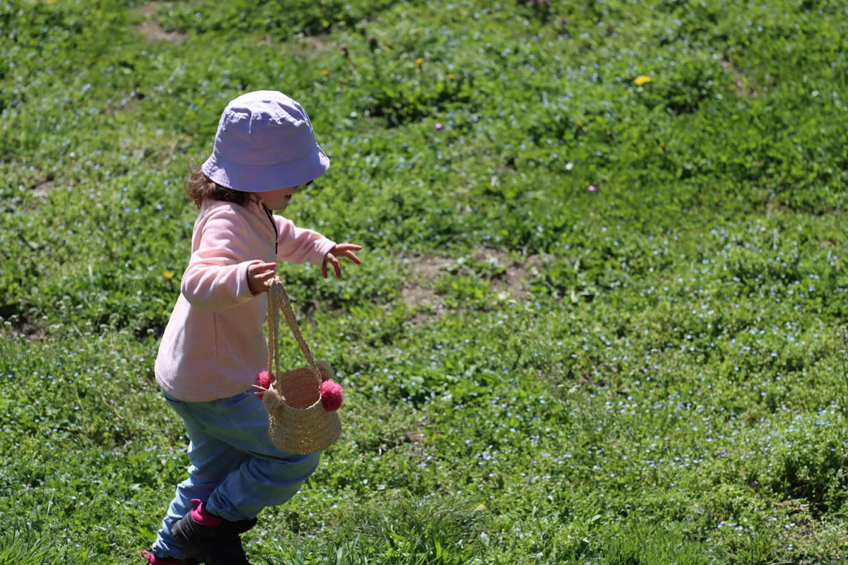 Chasse aux œufs