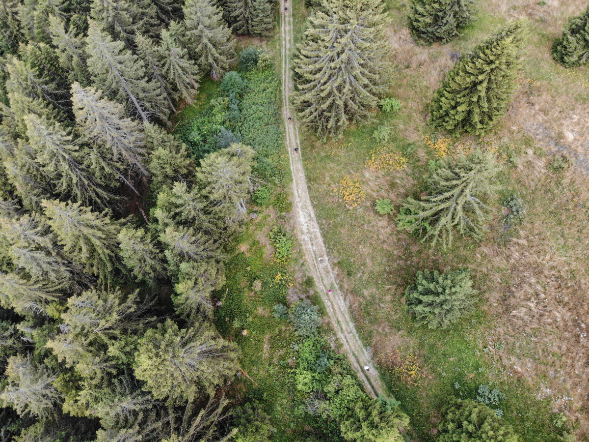 Trail de l'Aigle