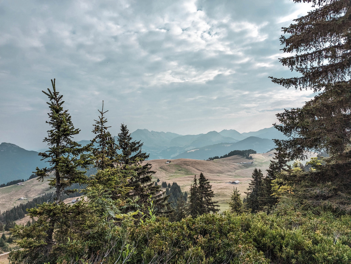 Trail de l'Aigle