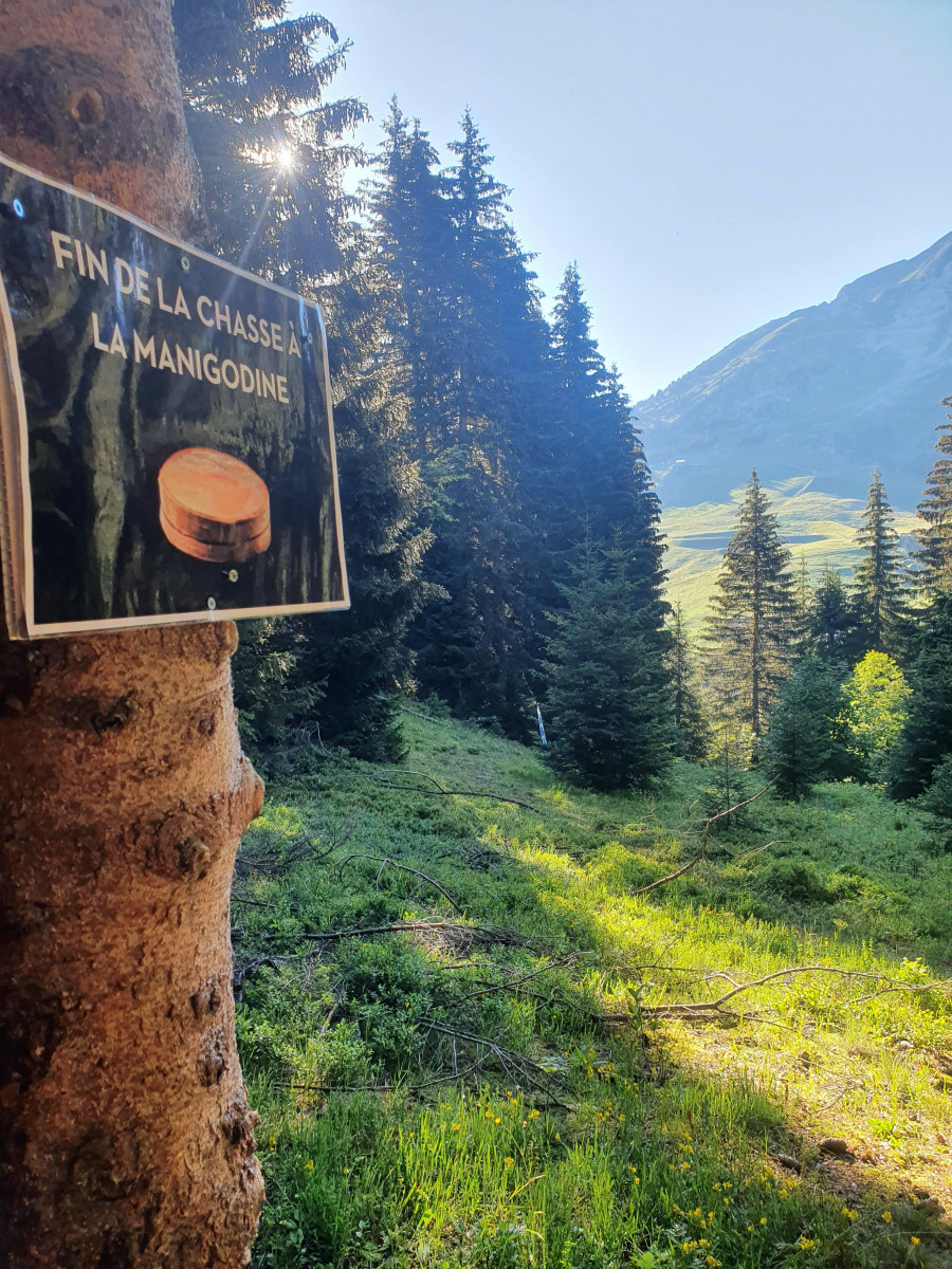 Rando pédestre gourmande