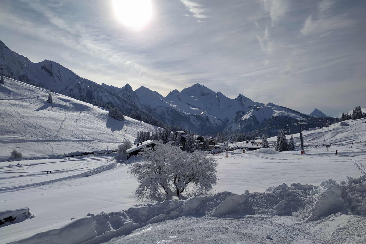 Chalet Fleur des neiges Chalet Fleur des neiges