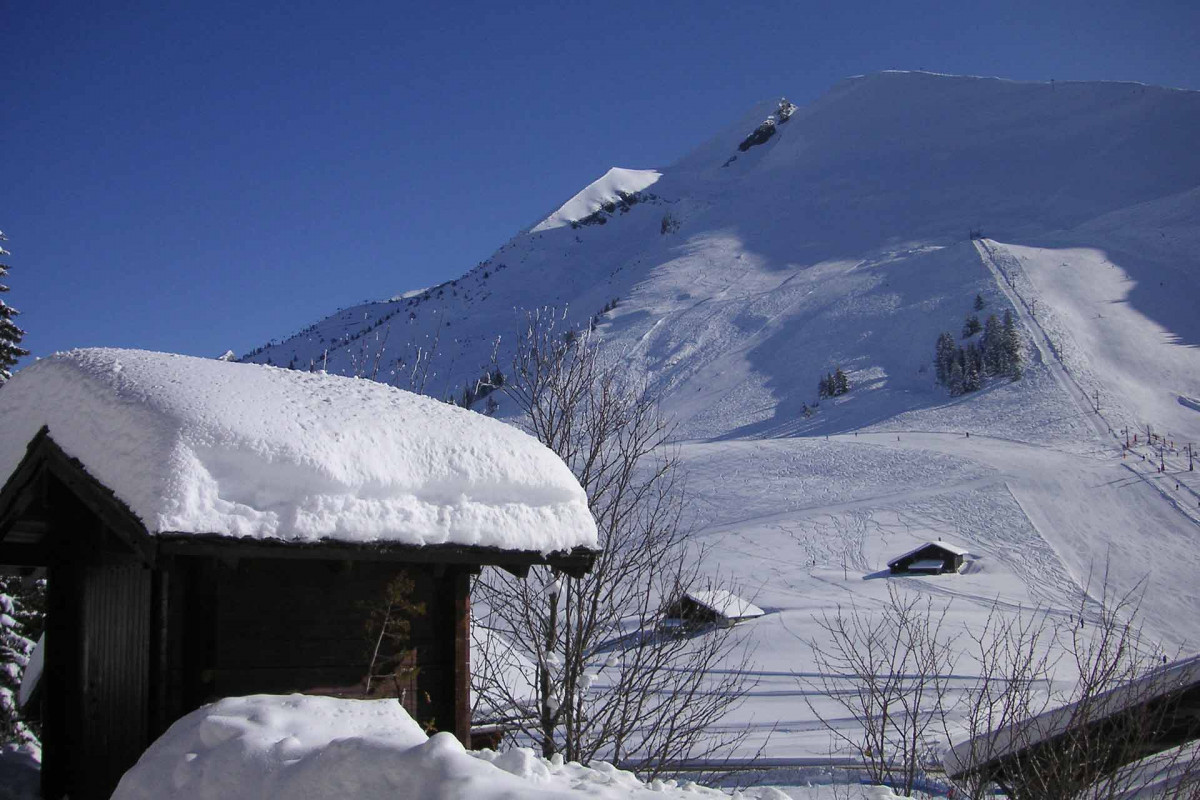 Studio dans chalet Moulin à vent
