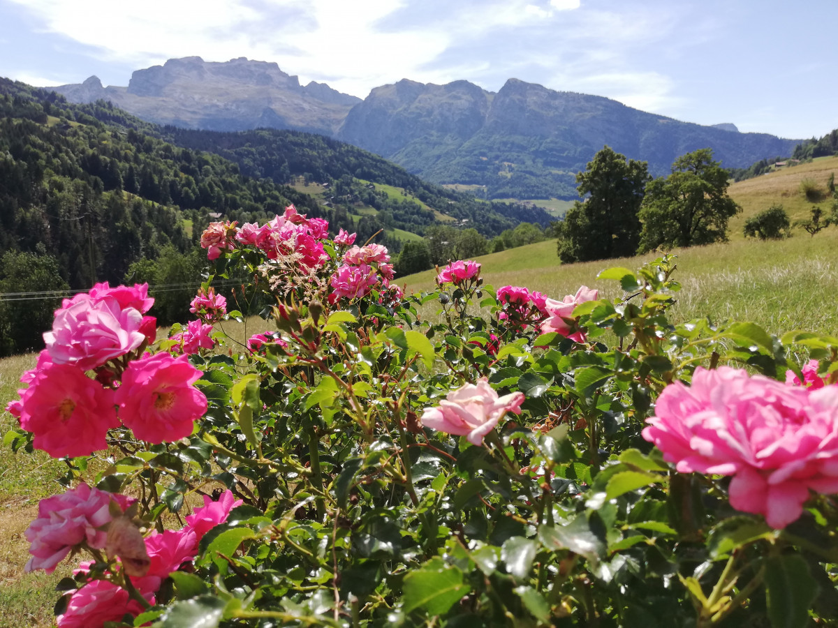 Vue depuis l'appartement