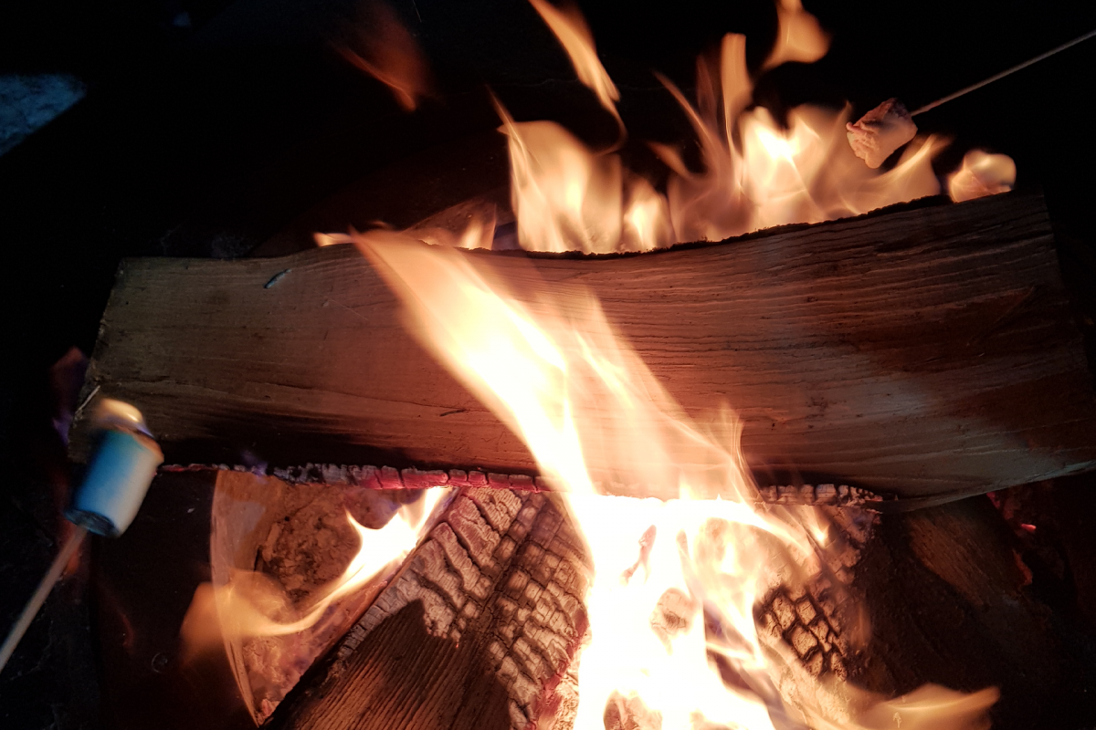 Manigod Fridays_Manigod