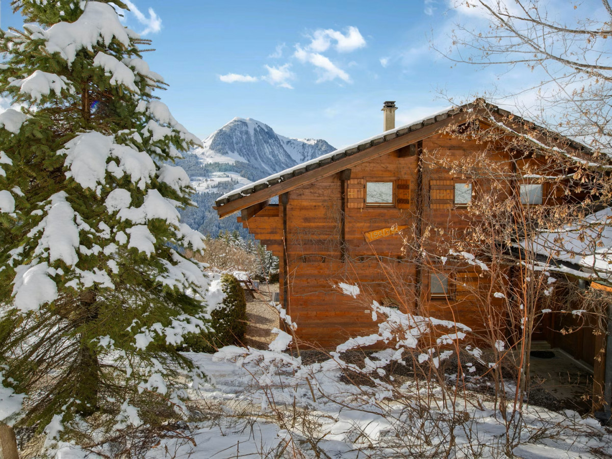Chalet Isatys_Manigod
