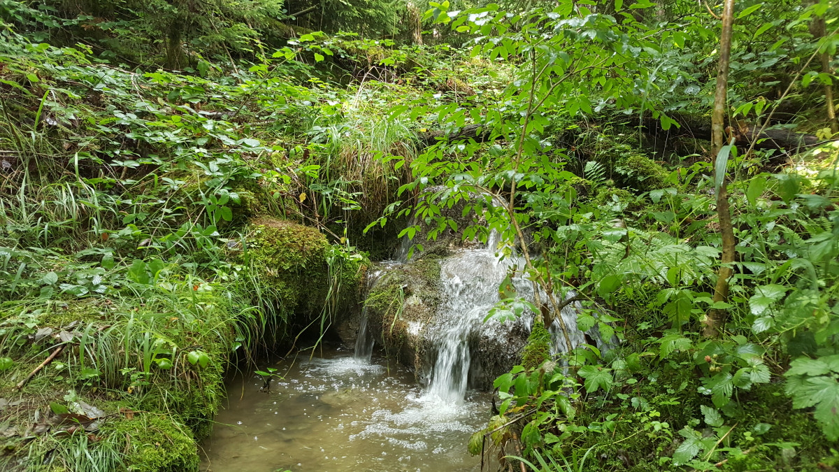 Rivière
