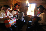 Alps Music Festival - Accordéoniste