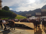 Foire agricole communale