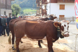 Foire agricole communale