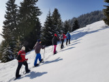 Raquettes à neige