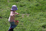 Chasse aux œufs
