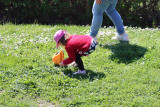 Chasse aux œufs