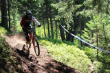 XFry Downhill