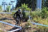 XFry Downhill