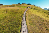 Trail de l'aigle