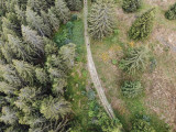 Trail de l'Aigle