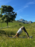 Yoga Nature_Manigod