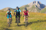 Aravis VTT