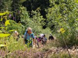 Aventure Nature_Manigod