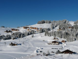 160096_jpg.jpg