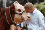 Foire cantonale aux vaches_Manigod